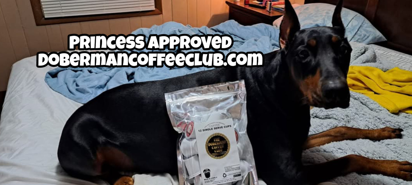 12 Pack Single Serve Coffee Capsules