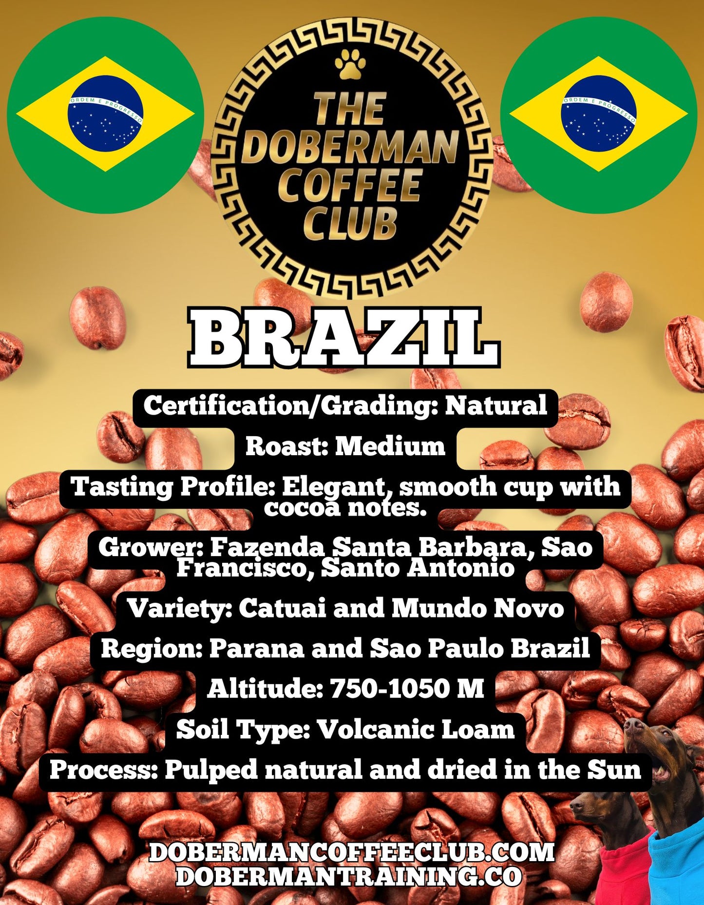 Brazil Santos