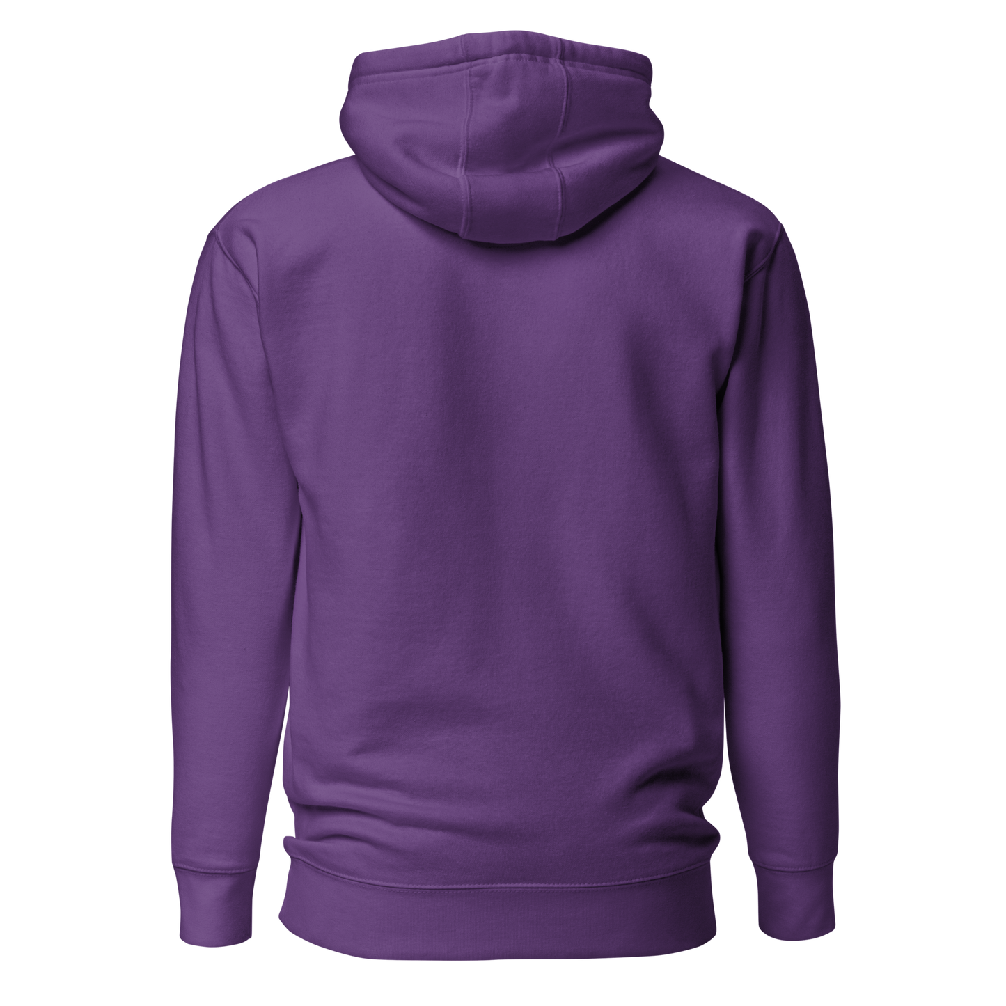 DCC 1 Unisex Hoodie