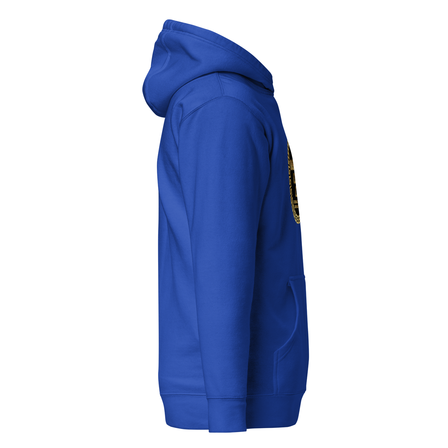 DCC 1 Unisex Hoodie